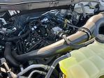 2025 Ford F-150 SuperCrew Cab 4x4 Pickup for sale #F50535 - photo 31