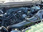 2025 Ford F-150 SuperCrew Cab 4WD Pickup for sale #F50537 - photo 30