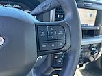 2025 Ford F-450 Regular Cab DRW 4x4 Cab Chassis for sale #F50557 - photo 12