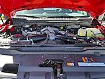 2025 Ford F-450 Regular Cab DRW 4x4 Cab Chassis for sale #F50557 - photo 20
