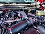 2025 Ford F-450 Regular Cab DRW 4x4 Cab Chassis for sale #F50557 - photo 21