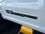 2025 Ford F-600 Regular Cab DRW 4x4 Cab Chassis for sale #F50563 - photo 23