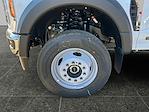 New 2025 Ford F-600 XL Regular Cab 4WD Cab Chassis for sale #F50564 - photo 2