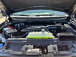 New 2025 Ford F-150 Raptor SuperCrew Cab 4x4 Pickup for sale #F50633 - photo 29