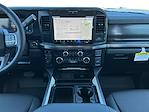 2025 Ford F-350 Crew Cab DRW 4x4 Pickup for sale #F50641 - photo 11