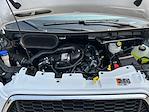 New 2025 Ford Transit 250 Medium Roof Empty Cargo Van for sale #F50672 - photo 22