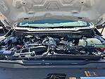 2025 Ford F-250 Crew Cab 4WD Pickup for sale #F50791 - photo 23