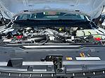 2025 Ford F-600 Regular Cab DRW 4WD Cab Chassis for sale #F50834 - photo 5