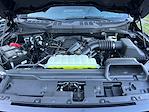 2025 Ford F-150 SuperCrew Cab 4x4 Pickup for sale #F50847 - photo 30