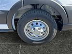 2025 Ford Transit 250 Medium Roof AWD Empty Cargo Van for sale #F50853 - photo 5