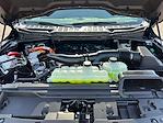2025 Ford F-150 SuperCrew Cab 4x4 Pickup for sale #F50894 - photo 30