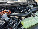 2025 Ford F-150 SuperCrew Cab 4x4 Pickup for sale #F50894 - photo 31