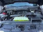 2025 Ford F-150 SuperCrew Cab 4x4 Pickup for sale #F50897 - photo 30