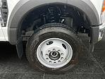 New 2025 Ford F-600 Regular Cab Cab Chassis for sale #F50899 - photo 3