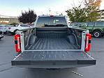 2025 Ford F-350 Crew Cab SRW 4WD Pickup for sale #F50935 - photo 24