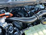 2025 Ford F-150 SuperCrew Cab 4WD Pickup for sale #F50961 - photo 30