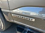 2025 Ford F-150 SuperCrew Cab 4WD Pickup for sale #F50961 - photo 32