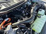 2025 Ford F-150 SuperCrew Cab 4WD Pickup for sale #F51004 - photo 30