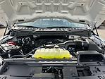 2025 Ford F-150 Super Cab 4WD Pickup for sale #F51083 - photo 30