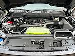 2025 Ford F-150 SuperCrew Cab 4WD Pickup for sale #F51087 - photo 29