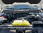 2025 Ford F-150 SuperCrew Cab 4WD Pickup for sale #F51121 - photo 29