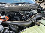 New 2025 Ford F-150 XLT SuperCrew Cab for sale #F51123 - photo 31
