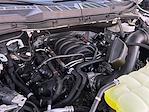 2025 Ford F-150 SuperCrew Cab 4WD Pickup for sale #F51127 - photo 29