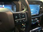 2025 Ford F-150 SuperCrew Cab 4WD Pickup for sale #F51129 - photo 19