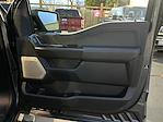 2025 Ford F-150 SuperCrew Cab 4WD Pickup for sale #F51129 - photo 26