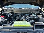 New 2025 Ford F-150 Tremor SuperCrew Cab for sale #F51130 - photo 29