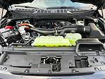 2025 Ford F-150 SuperCrew Cab 4WD Pickup for sale #F51139 - photo 30