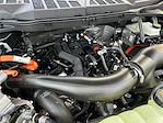 2025 Ford F-150 SuperCrew Cab 4WD Pickup for sale #F51139 - photo 31