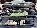 2025 Ford F-150 SuperCrew Cab 4WD Pickup for sale #F51140 - photo 29