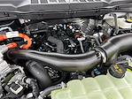 2025 Ford F-150 SuperCrew Cab 4WD Pickup for sale #F51141 - photo 31