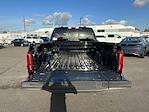New 2025 Ford F-150 Platinum SuperCrew Cab for sale #F51152 - photo 24