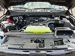 New 2025 Ford F-150 XLT SuperCrew Cab for sale #F51158 - photo 28