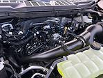 New 2025 Ford F-150 XLT SuperCrew Cab for sale #F51158 - photo 29