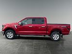 New 2025 Ford F-150 XLT SuperCrew Cab for sale #F51158 - photo 5