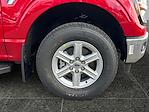 New 2025 Ford F-150 XLT SuperCrew Cab for sale #F51158 - photo 8