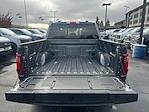 2025 Ford F-150 SuperCrew Cab 4WD Pickup for sale #F51167 - photo 25