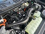 2025 Ford F-150 SuperCrew Cab 4WD Pickup for sale #F51167 - photo 31