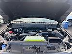 2025 Ford F-150 SuperCrew Cab 4WD Pickup for sale #F51168 - photo 30