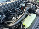 2025 Ford F-150 SuperCrew Cab 4WD Pickup for sale #F51168 - photo 31