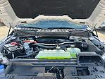 New 2025 Ford F-150 XLT SuperCrew Cab for sale #F51225 - photo 30