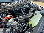 New 2025 Ford F-150 XLT SuperCrew Cab for sale #F51225 - photo 31