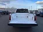 2025 Ford F-150 SuperCrew Cab 4WD Pickup for sale #F51230 - photo 24