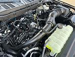 New 2025 Ford F-150 STX SuperCrew Cab for sale #F51236 - photo 31