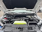 2025 Ford F-150 SuperCrew Cab 4WD Pickup for sale #F51238 - photo 30
