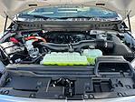 2025 Ford F-150 SuperCrew Cab 4WD Pickup for sale #F51277 - photo 30