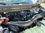 2025 Ford F-150 SuperCrew Cab 4WD Pickup for sale #F51277 - photo 31